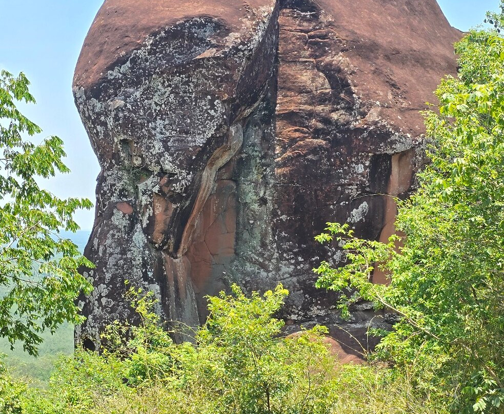 Three Whale Rock景点图片