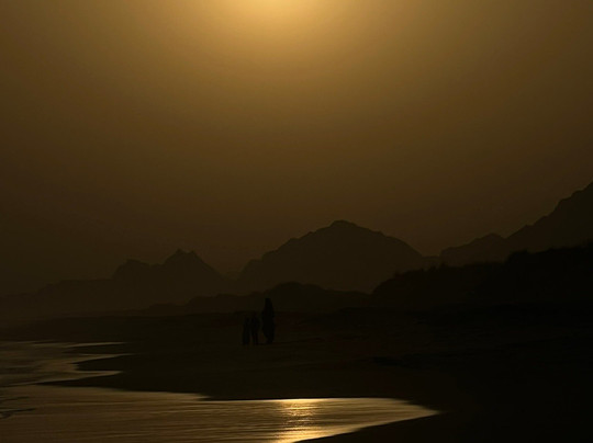 Mangrove Forest in Chabahar-Chabahar必去景点