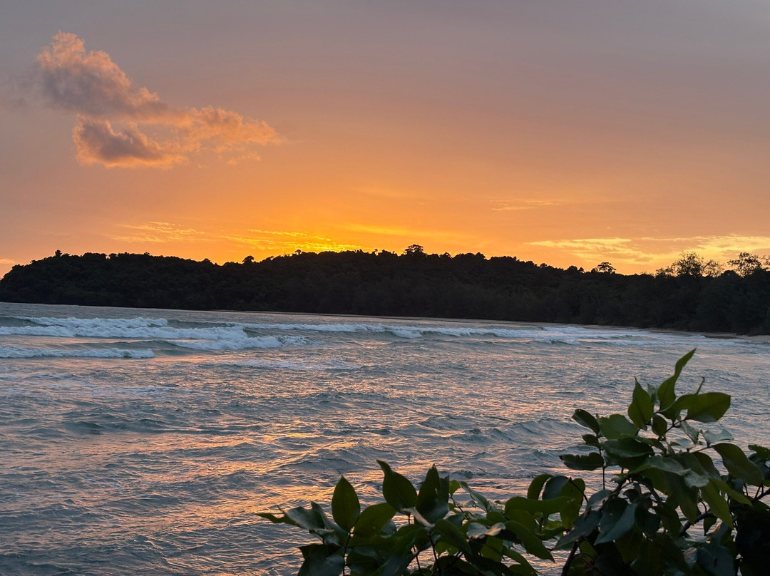 Kactus - The Hidden Treehouse主图