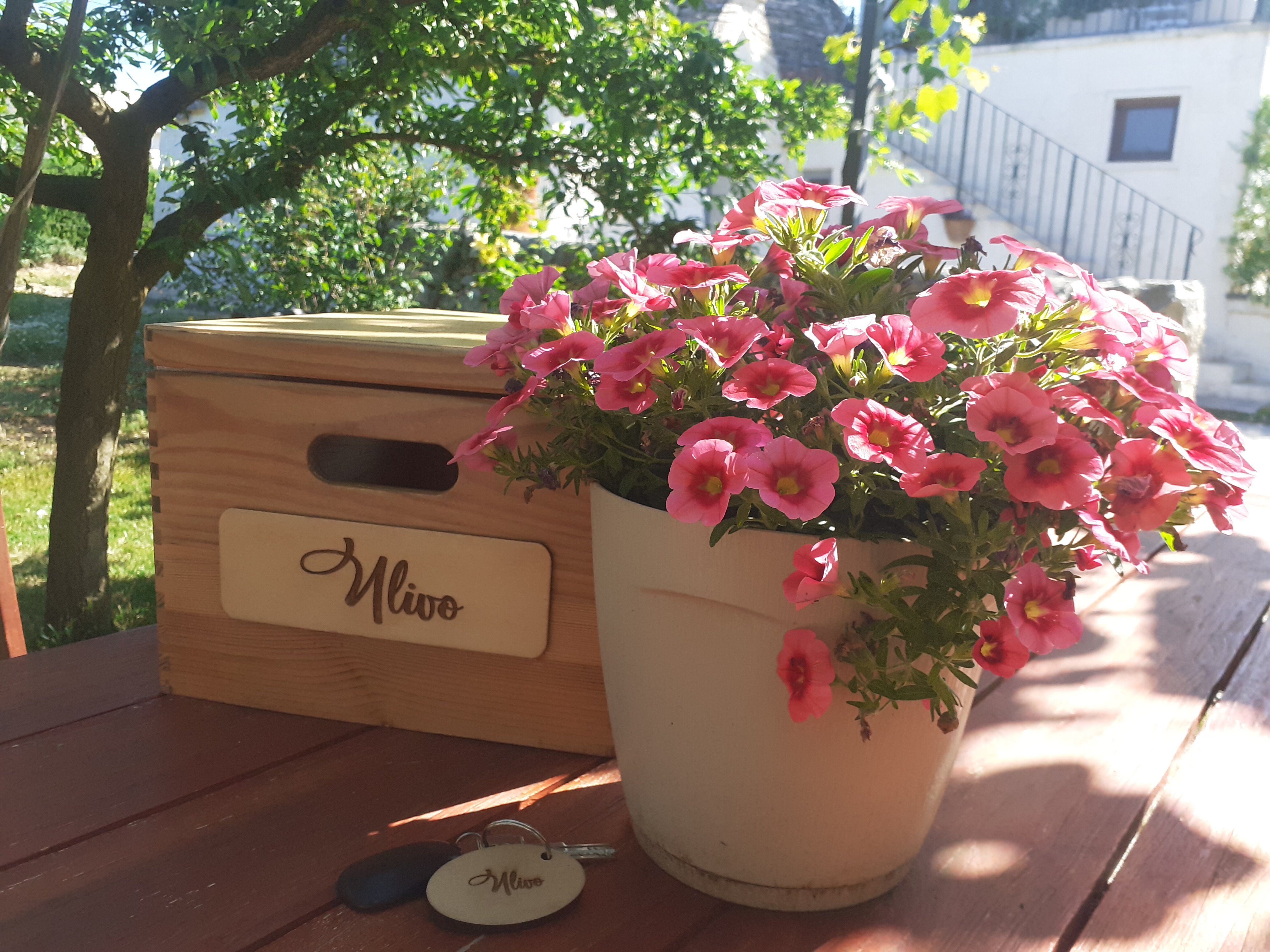 B&B Masseria Trulli sull'Aia-官方