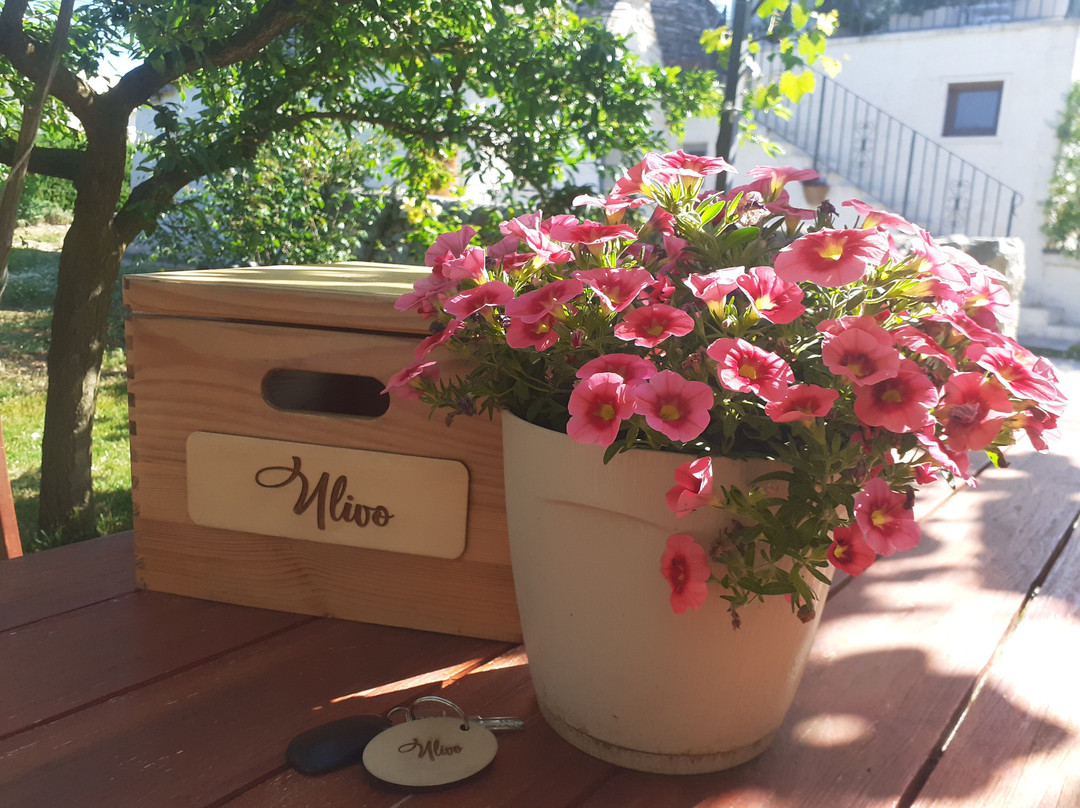 B&B Masseria Trulli sull'Aia主图