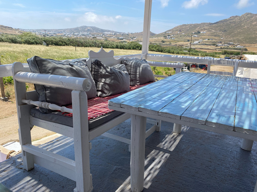 Mykonos Vioma Organic Farm景点图片