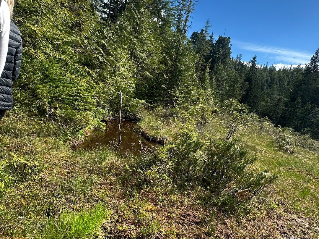 The Mill at Ward Cove Rainforest E-Bike & Nature Walk-Ward Cove必去景点