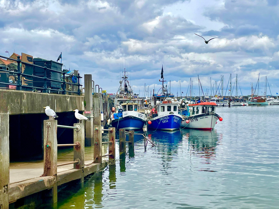 Harbour View景点图片