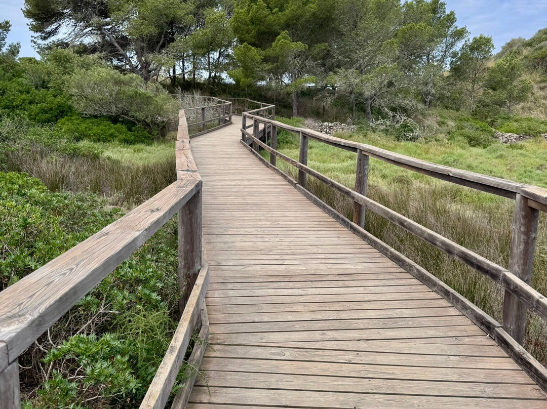 Nature Parc of S'Albufera des Grau-米诺卡必去景点