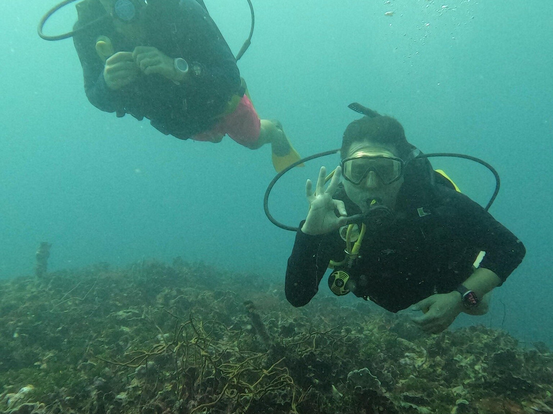 Aquarius Diving Club-Rincon del Mar必去景点