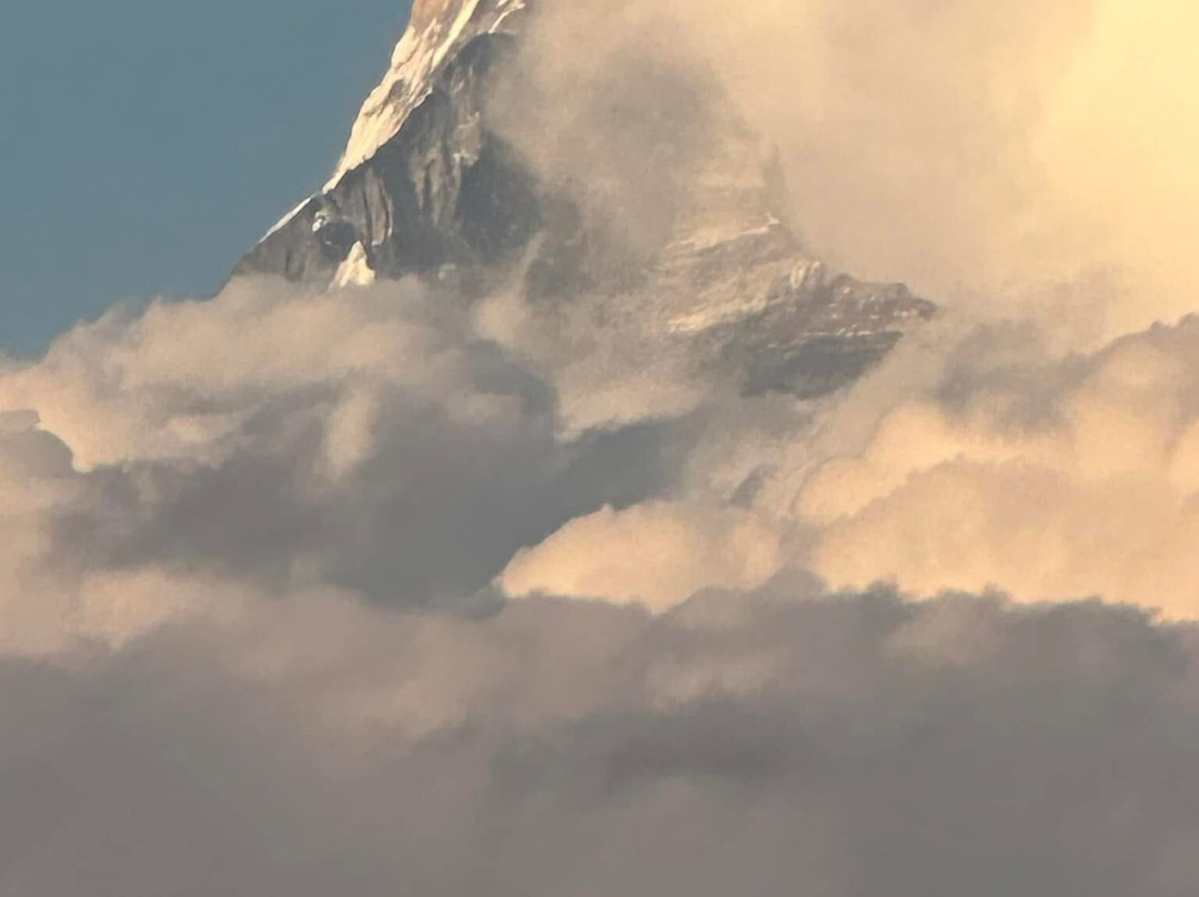 Tamagi Museum And Learning Centre-博卡拉必去景点