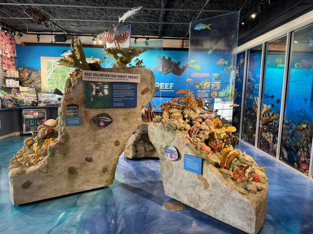 Reef Ocean Exploration Center For Marine Conservation