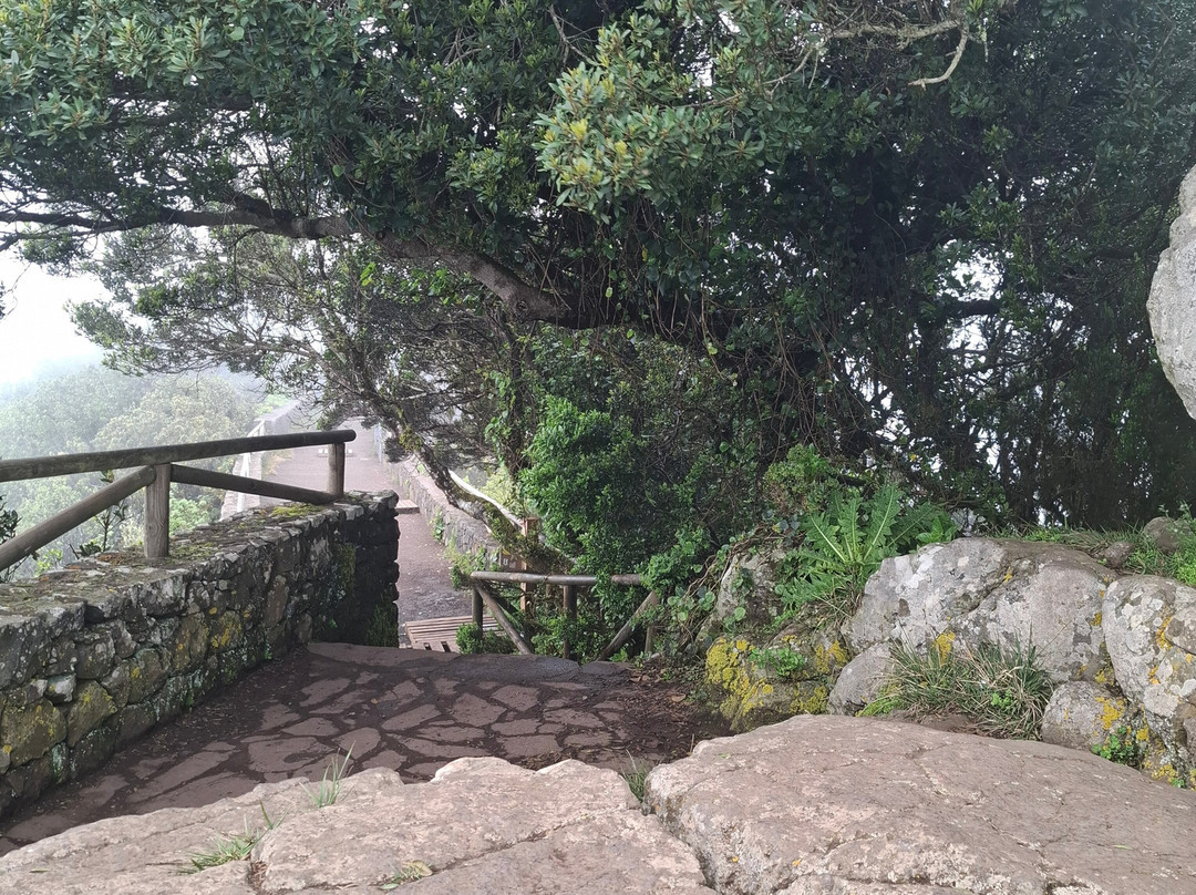 Mirador Pico del Ingles-拉古纳的圣克里斯托波尔城必去景点