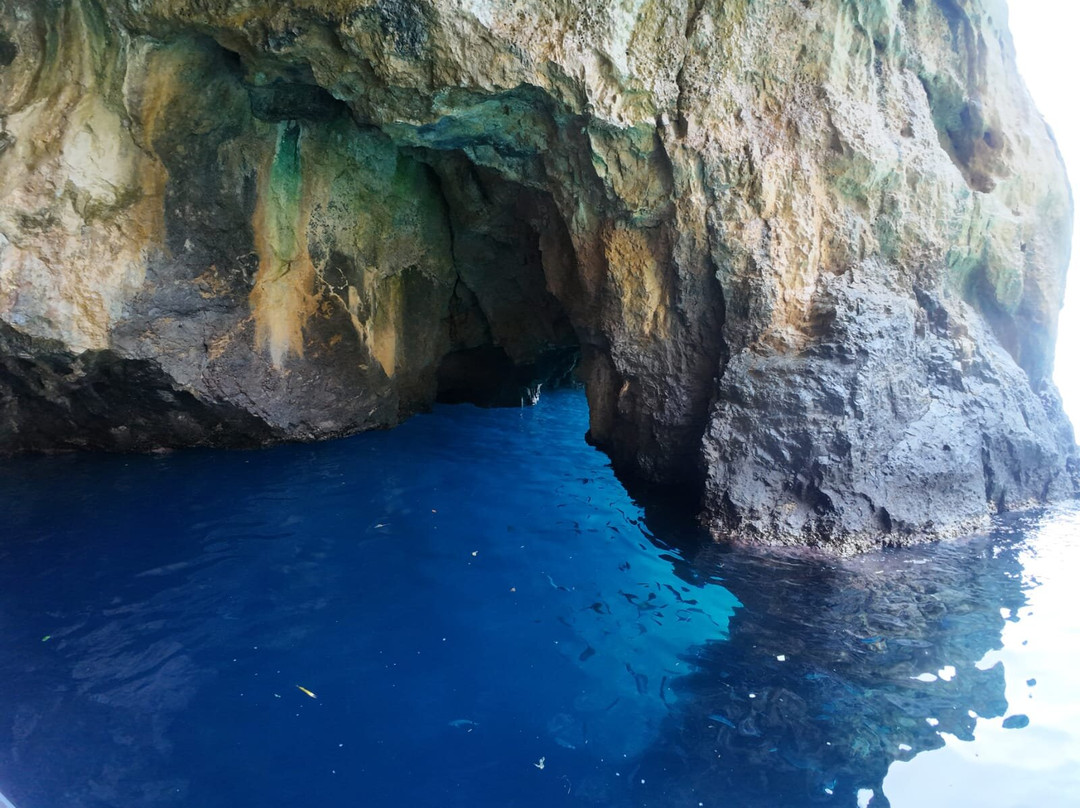 Cilento Snorkeling景点图片