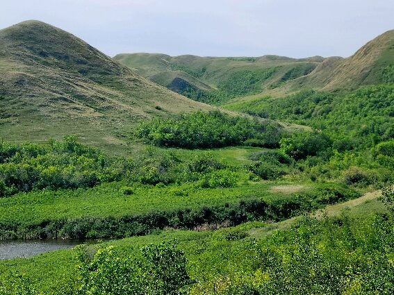 Saskatchewan Landing Provincial Park-Stewart Valley必去景点