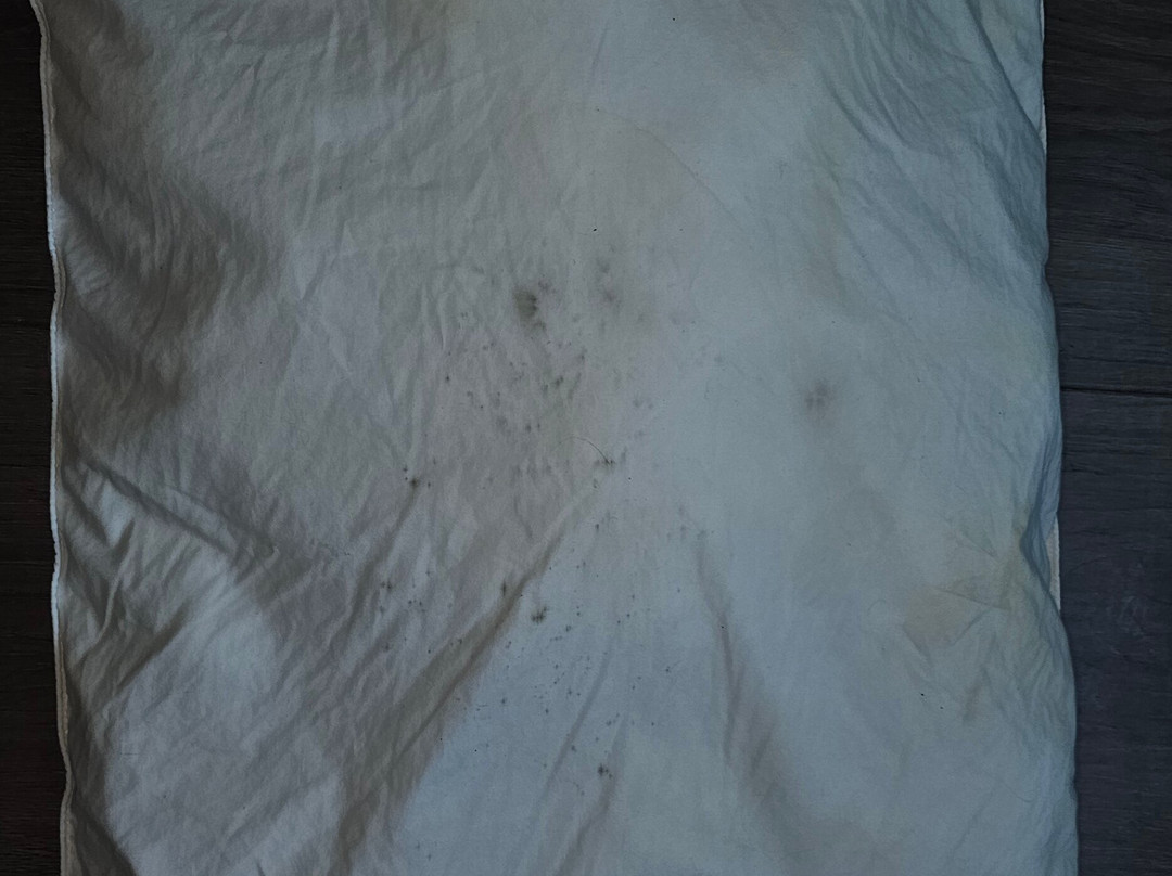 Mainstay Suites Columbus Next To Fort Moore主图