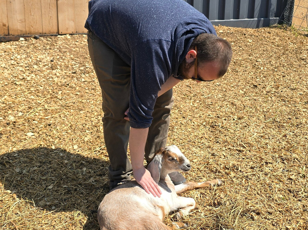 Biggoat Farm-霍顿必去景点