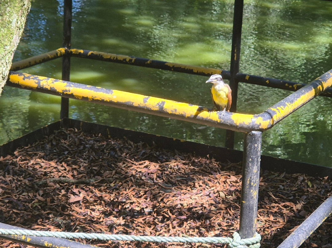 Jardín Botánico de Medellín-麦德林必去景点