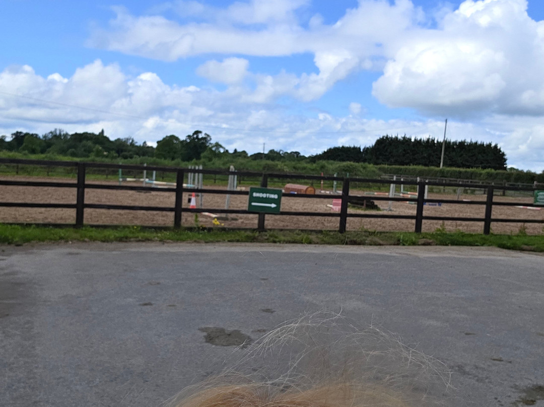 Abbeyfield Farm-Clane必去景点