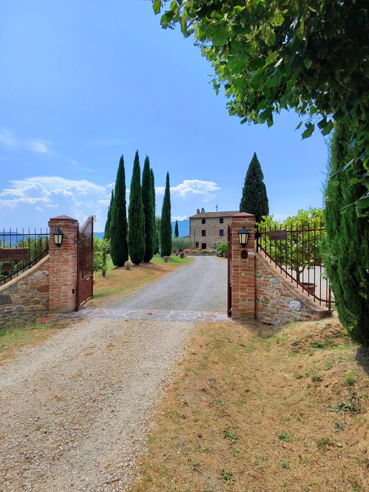 San Carlo a la Molinella-官方