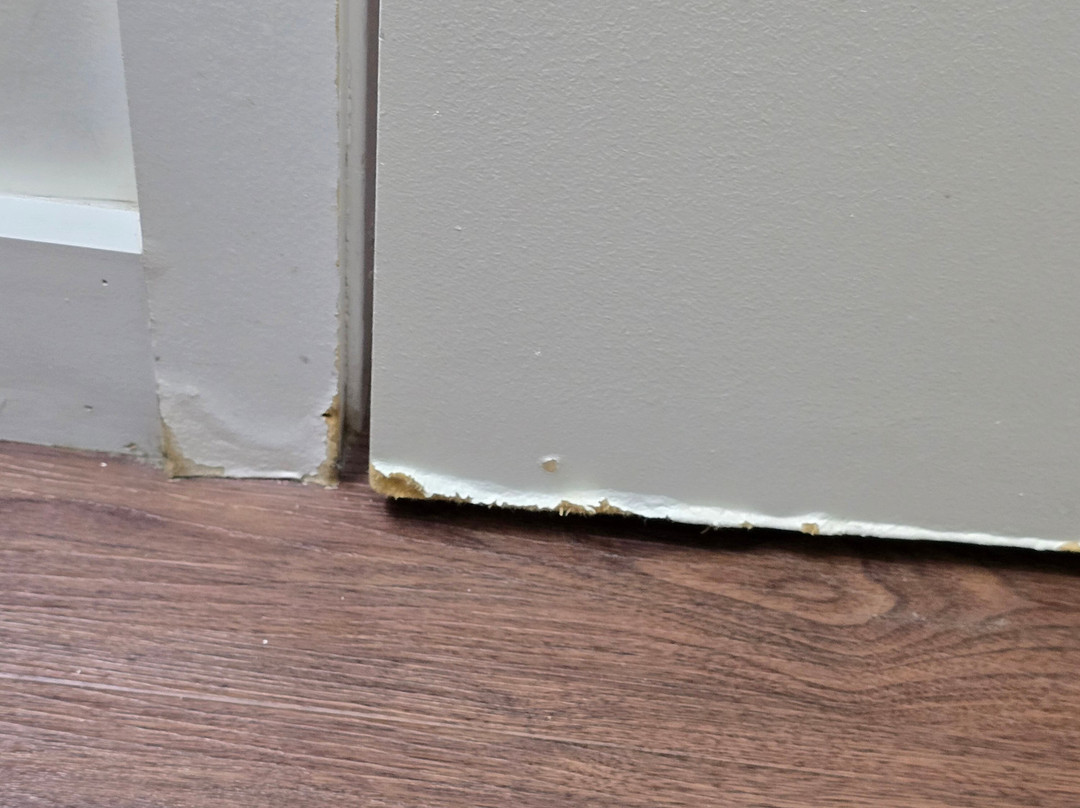 Micro Boutique Living Antigonish主图