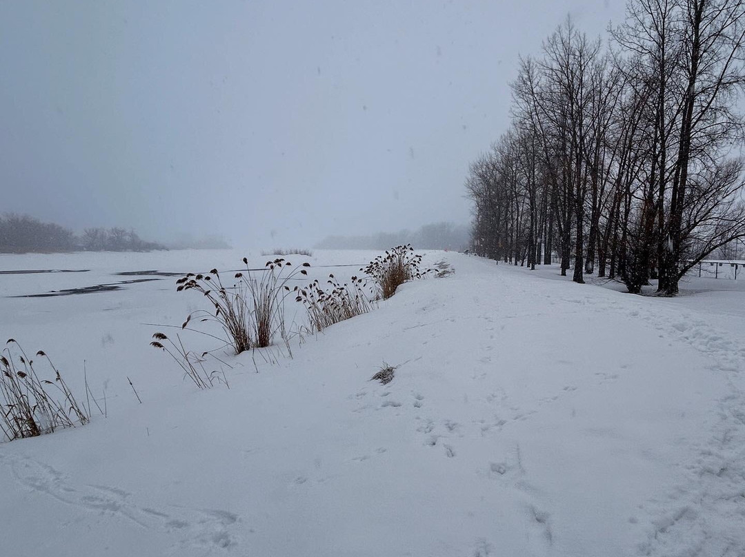 Parc Regional des Iles-de-Saint-Timothee-Salaberry-de-Valleyfield必去景点