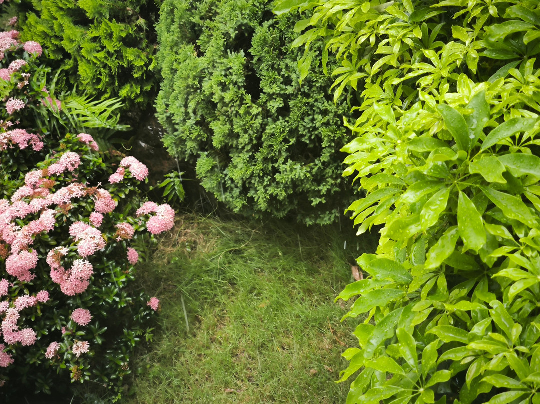 Senna Wellness Retreat主图