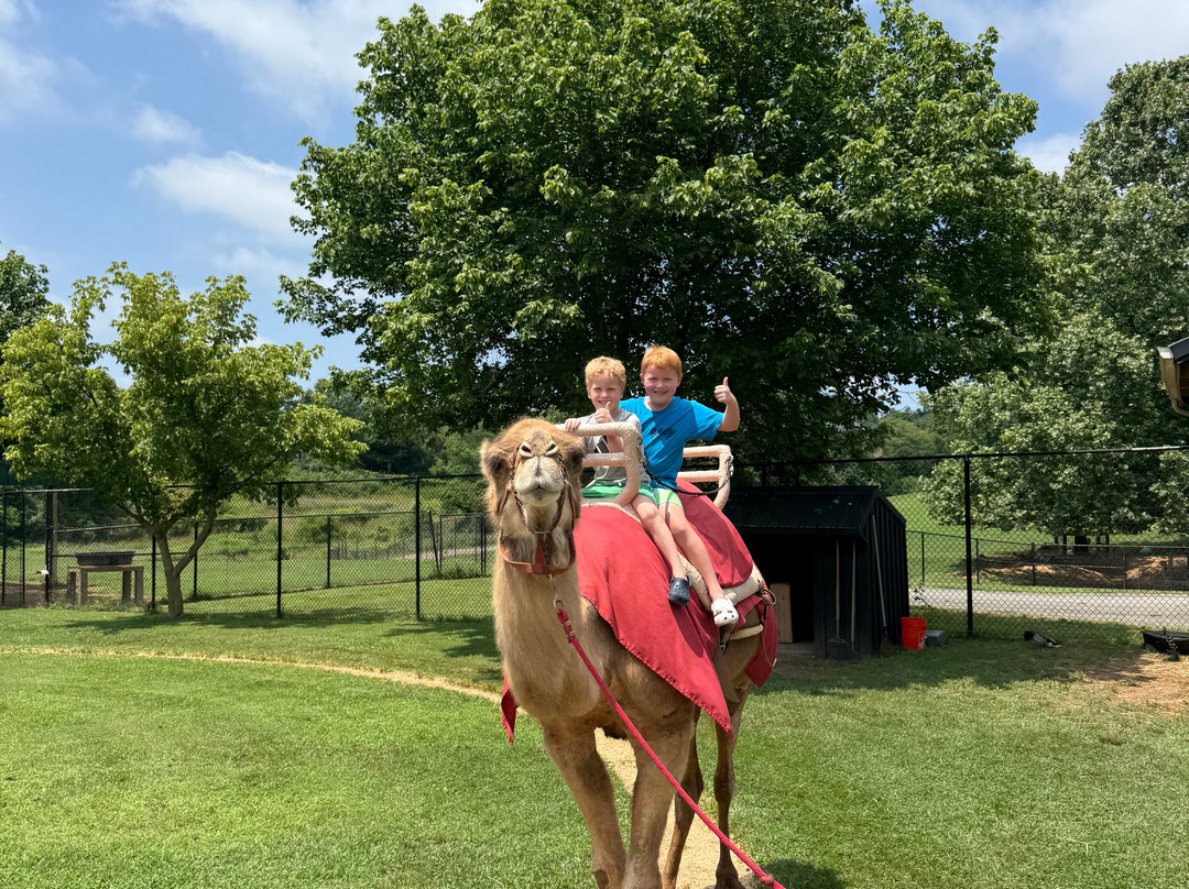 Nova Wild-维也纳必去景点