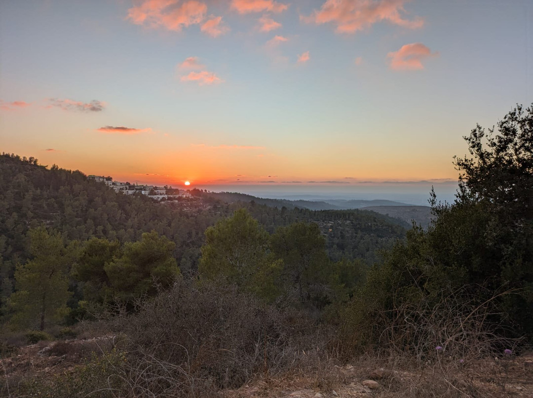 Logos Yad Hashmona主图