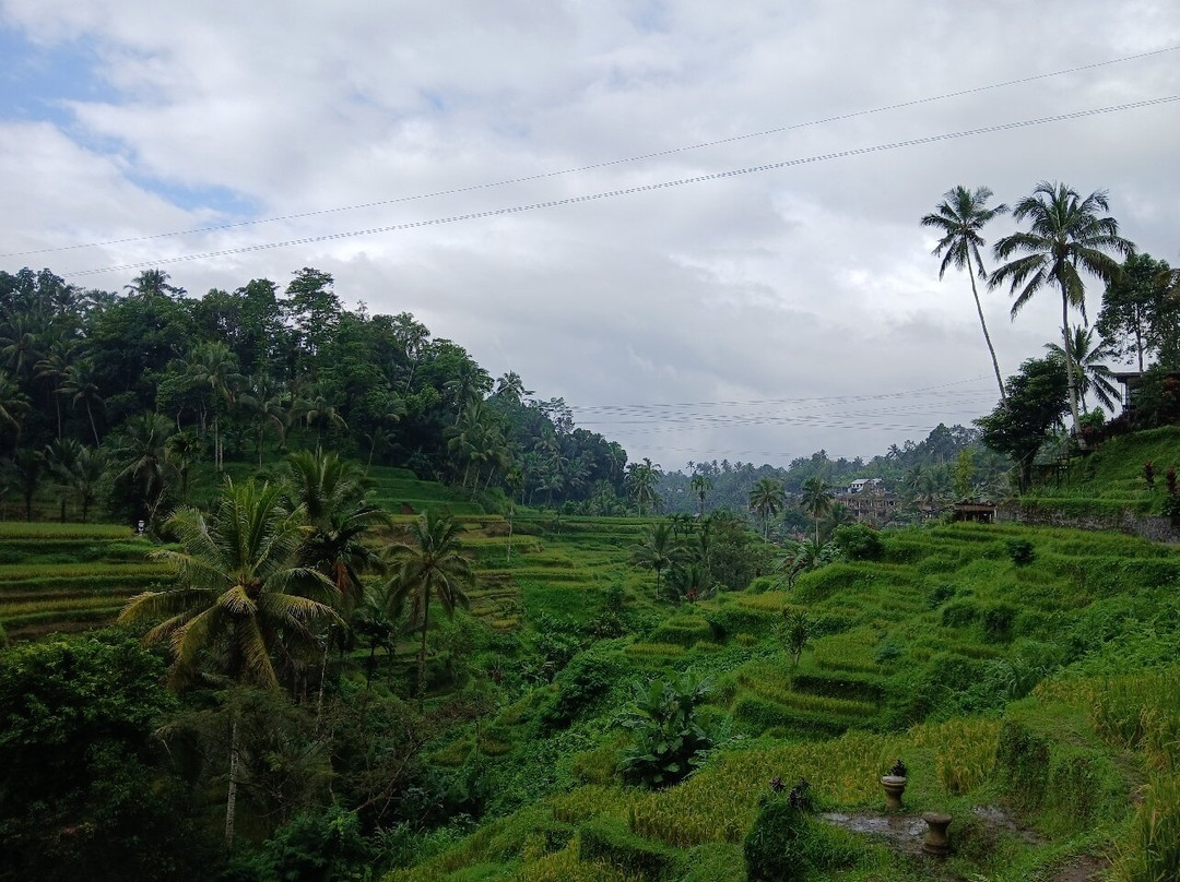 Bali With a Local Tour-佩艳艮必去景点