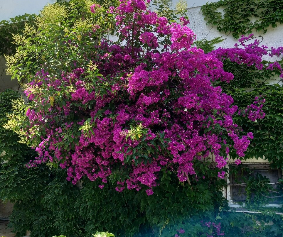 Arco Beach Hotel主图