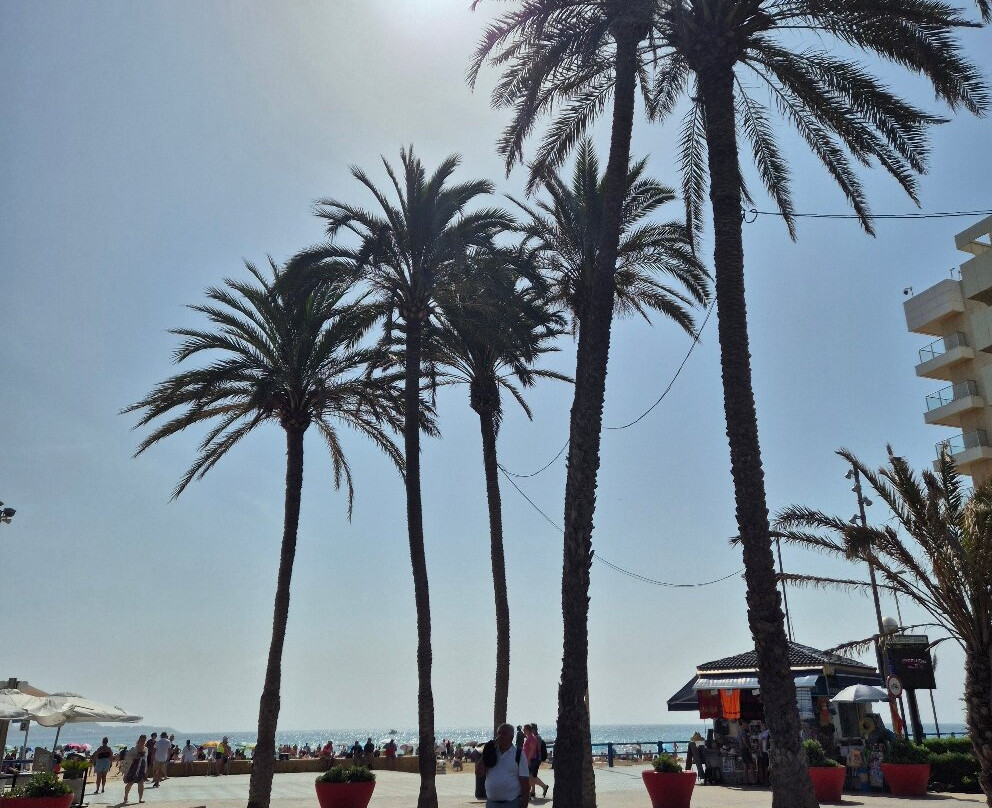 Plaça Porta del Mar-阿利坎特省必去景点
