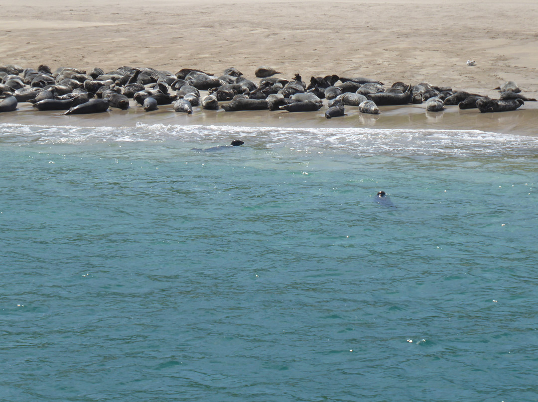 Blasket Islands Eco Marine Tours-Ventry必去景点