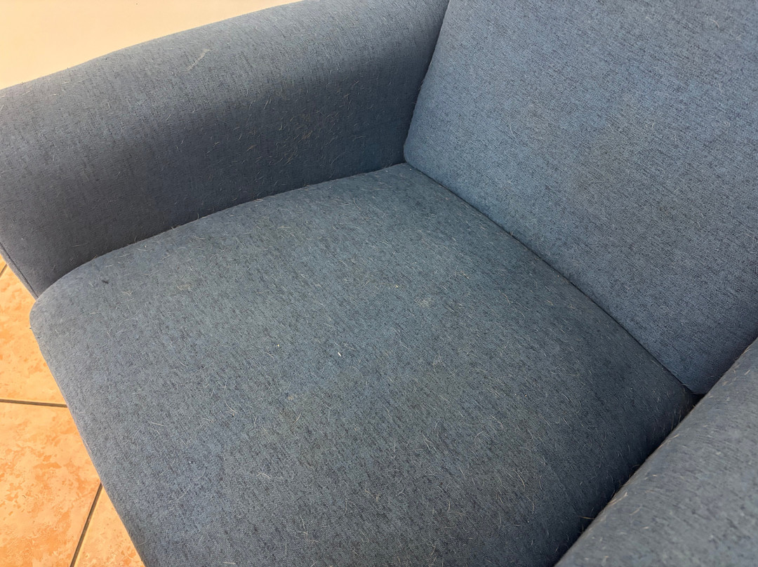 True Blue Motor Inn主图