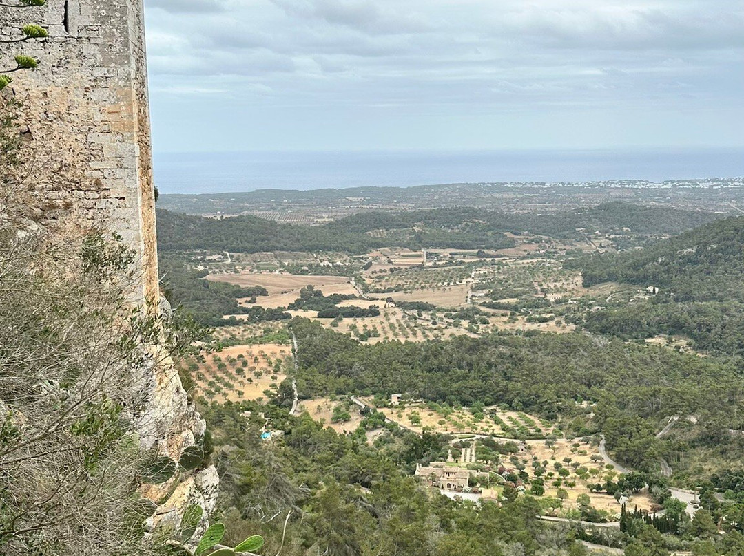 Castell de Santueri-Felanitx必去景点
