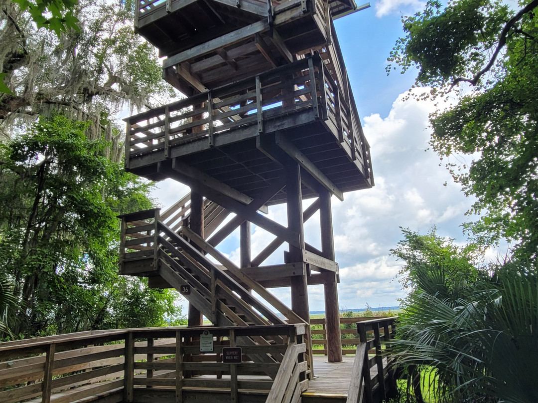 Paynes Prairie Preserve State Park-Micanopy必去景点