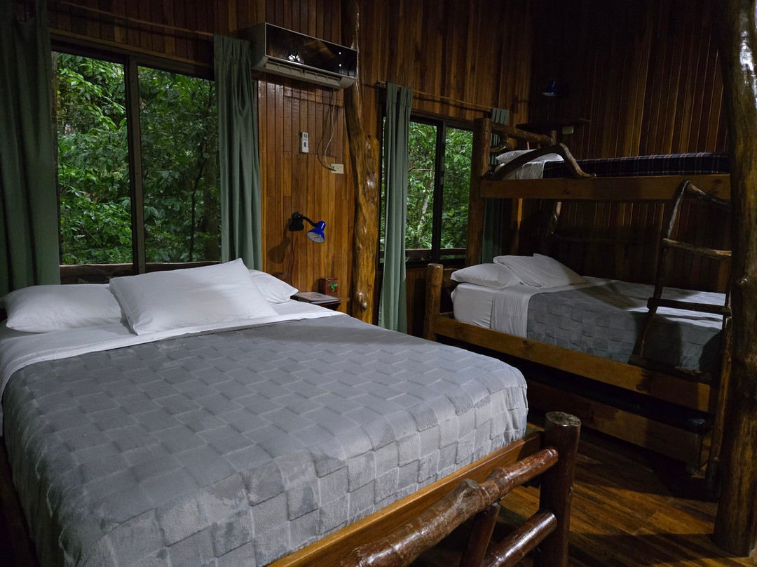 Tree Houses Hotel Costa Rica主图