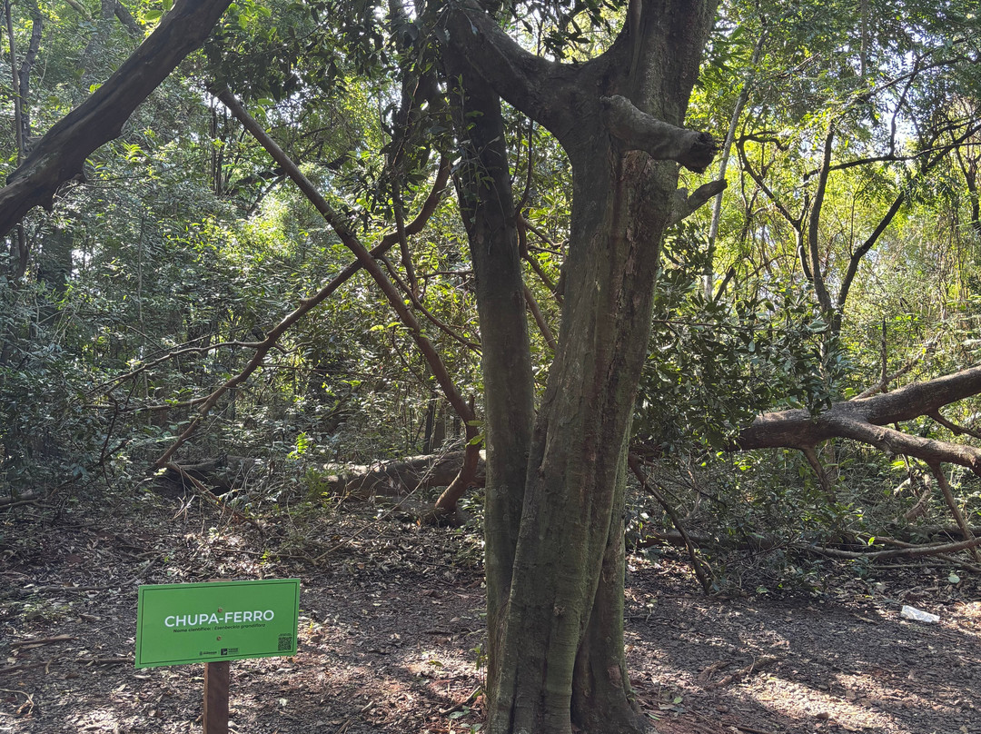 Biologa Tania Mara Netto Silva Ecological Park-Ourinhos必去景点