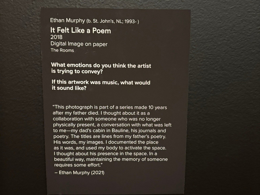 The Rooms-圣约翰必去景点