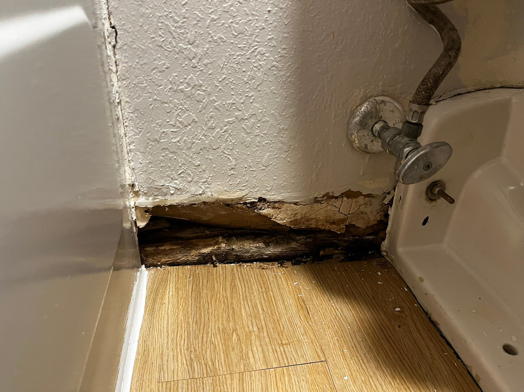 Red Roof Inn Detroit-Rochester Hills / Auburn Hills主图