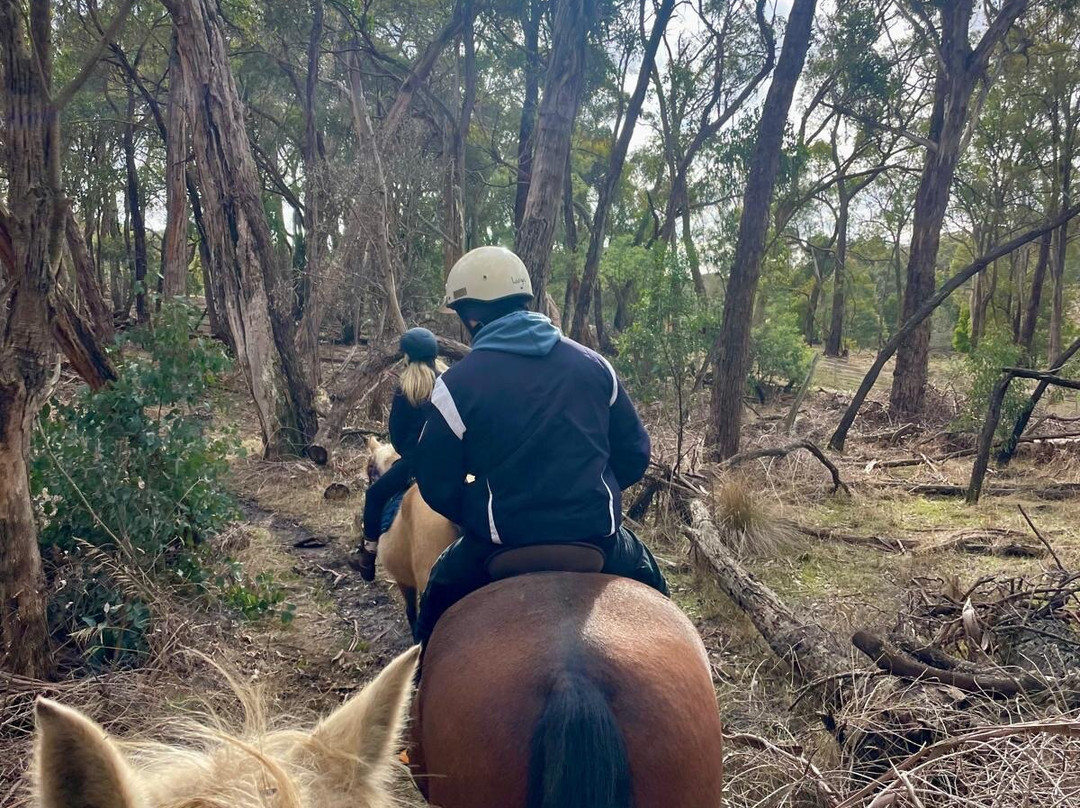 Silver Brumby Trails-Spring Hill必去景点