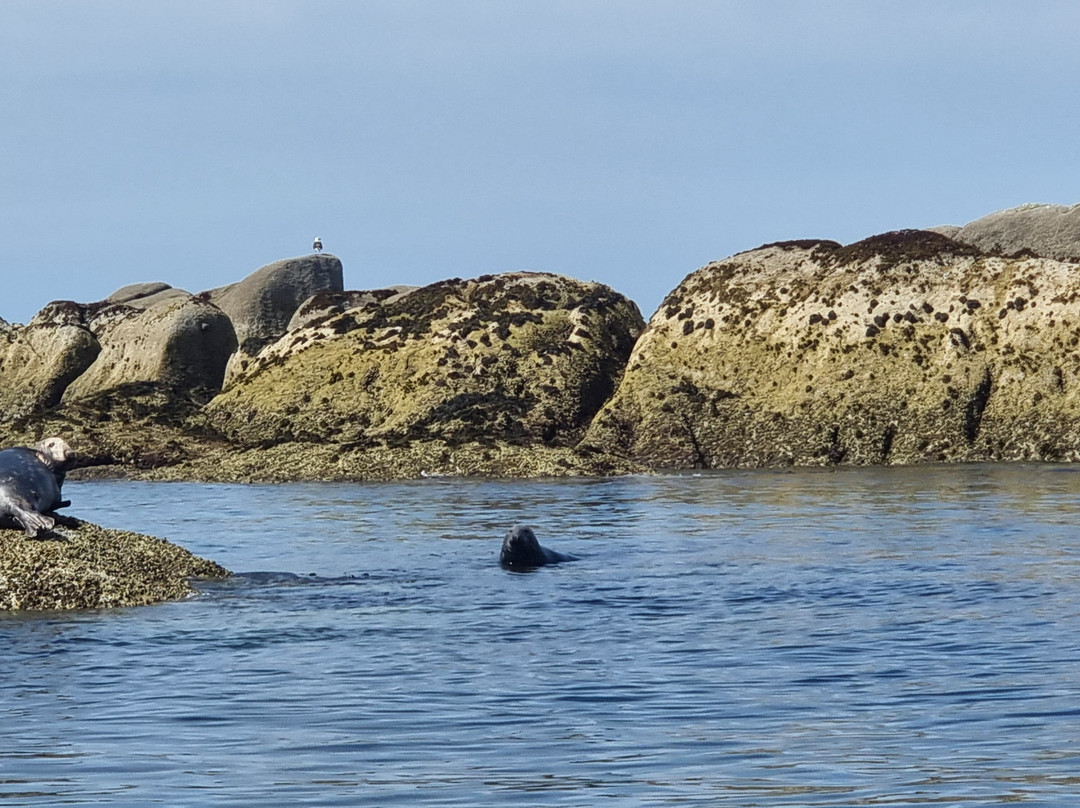 Breizh Tek Diving-Nevez必去景点