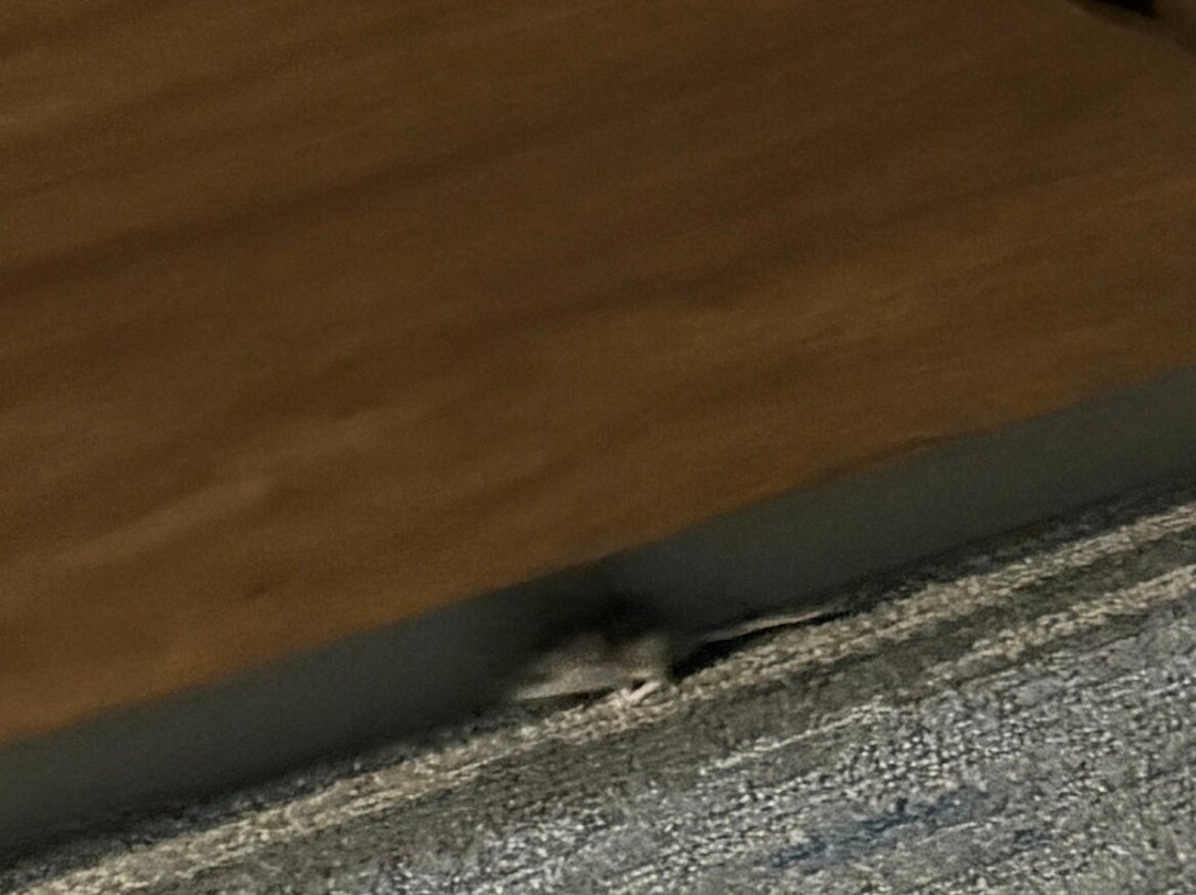 Hampton Inn & Suites Las Cruces I-25主图