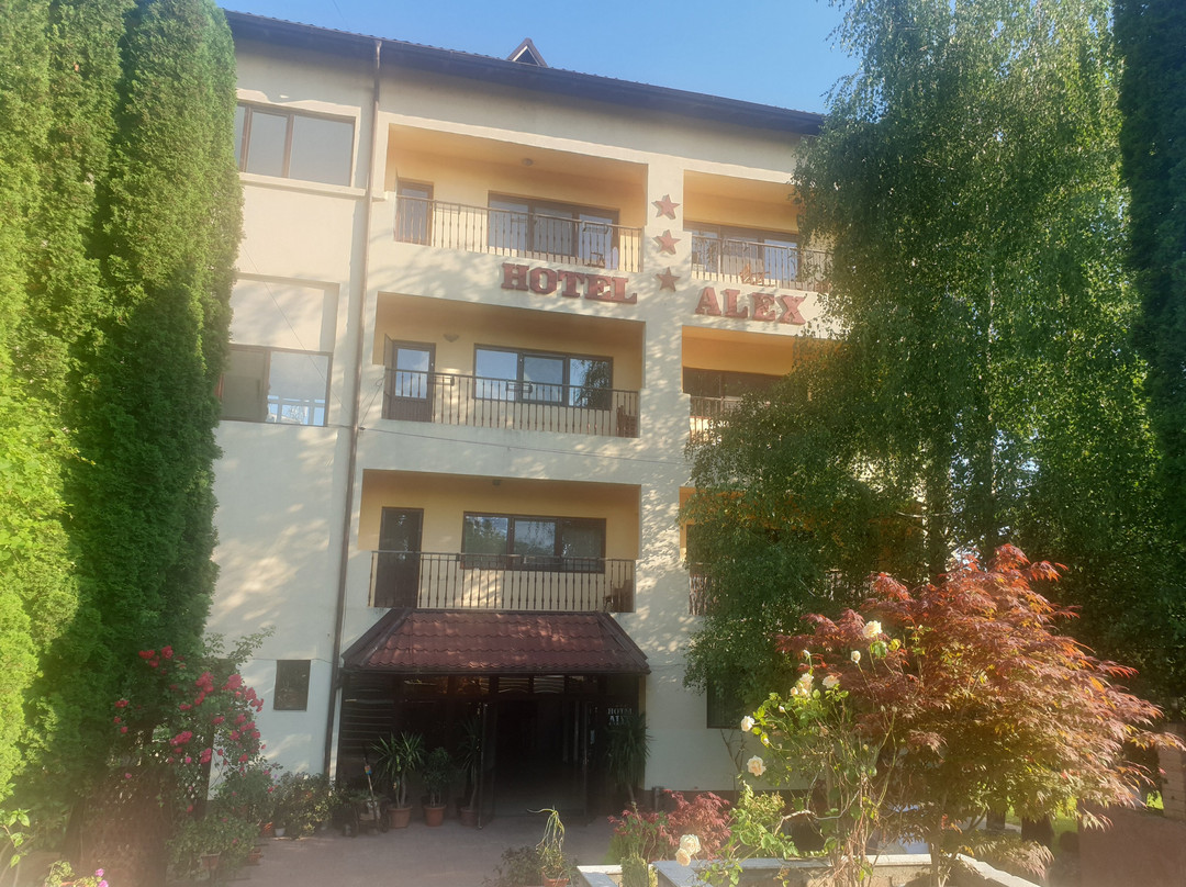Hotel Alex主图