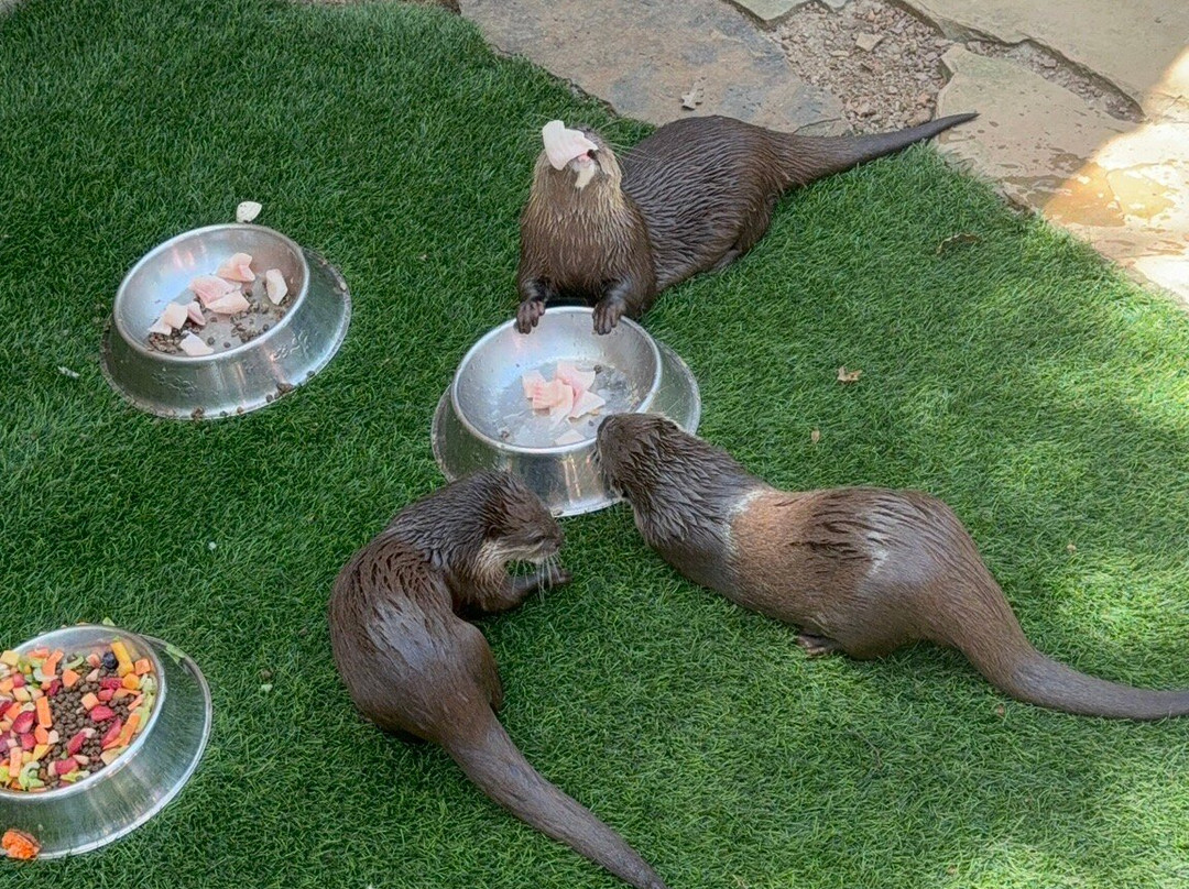 Oak Meadow Ranch-Valley View必去景点