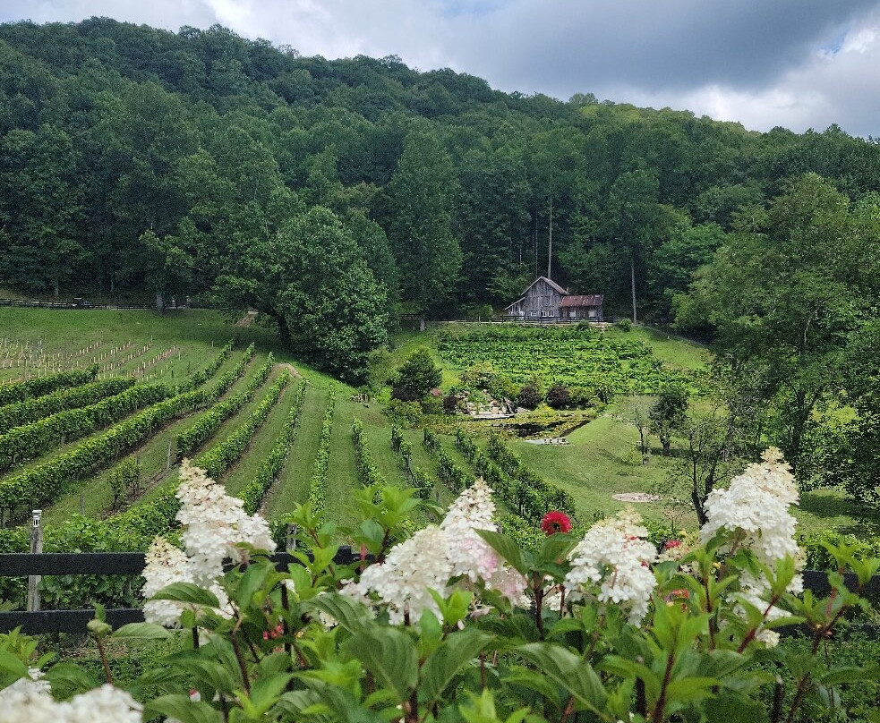 The Vineyard at High Holly-Scaly Mountain必去景点