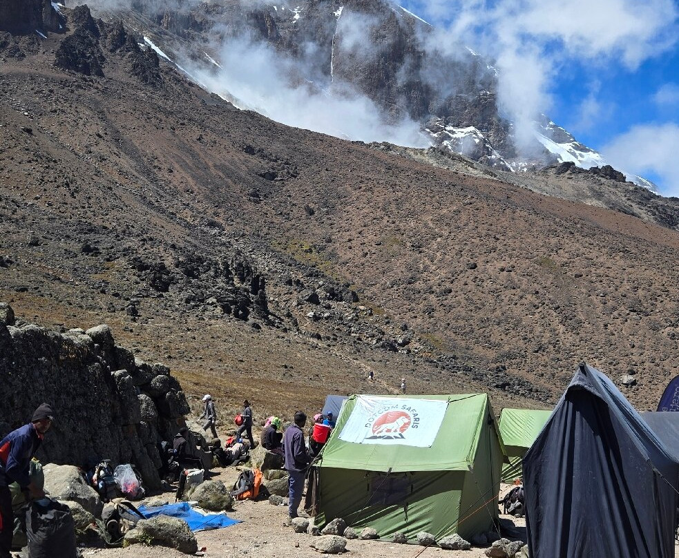 Dotcom Safaris Ltd-莫西必去景点