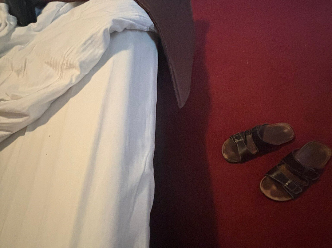 Hotel Alexandra主图