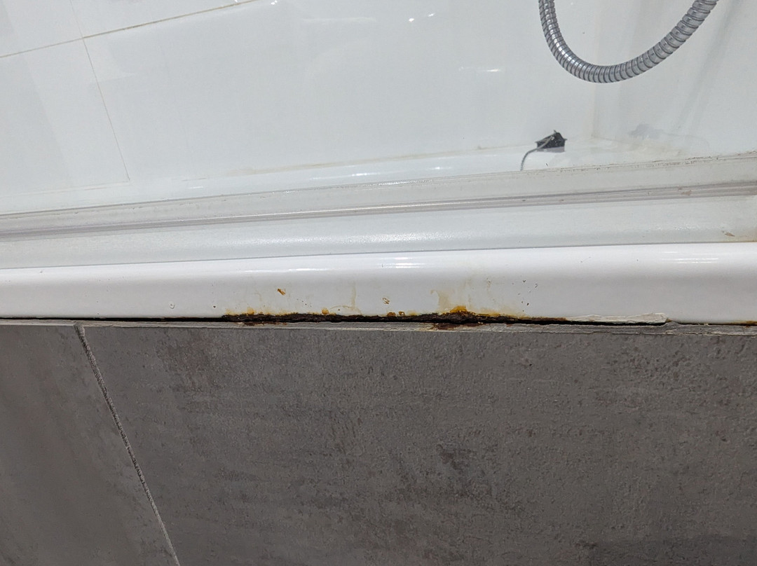 OH 戴安娜公園飯店主图