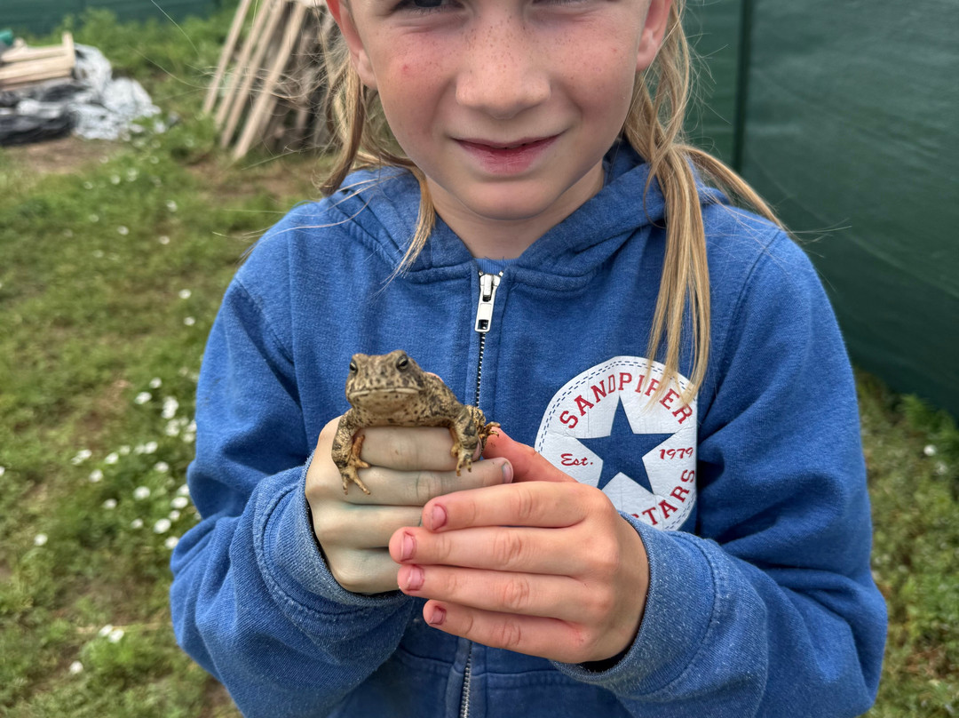 Christine's Horseback Riding-卡尼必去景点
