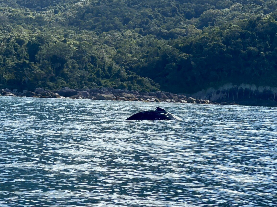 Maremar Turismo-伊利亚贝拉必去景点