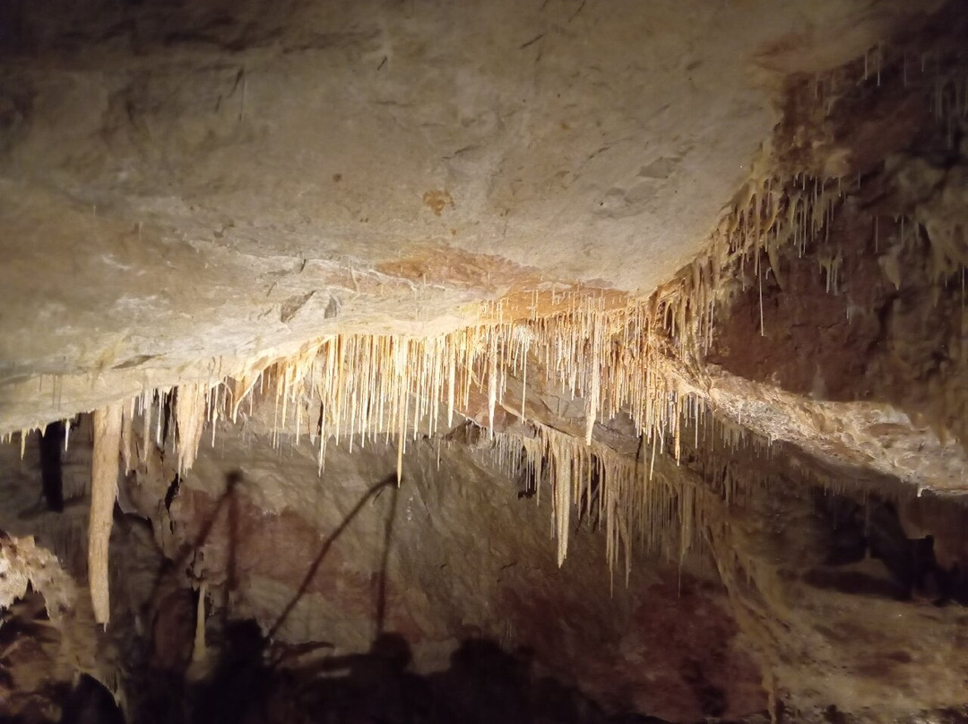 Grotte de Dargilan-Meyrueis必去景点