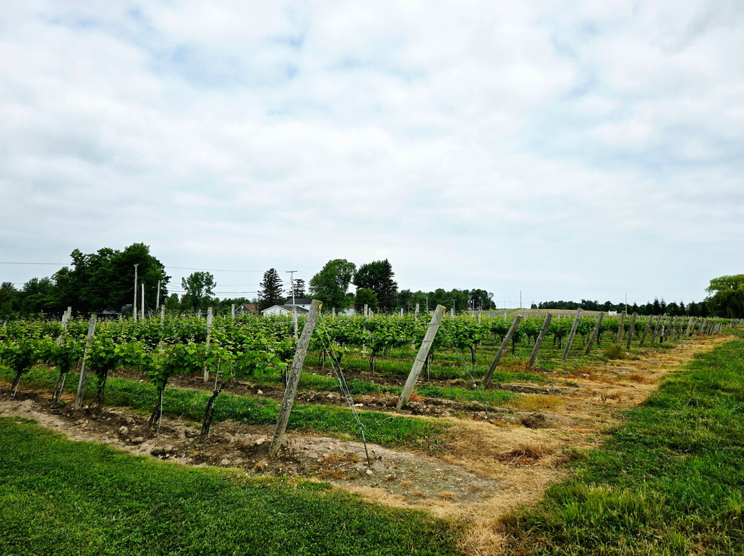 Sterling Valley Vineyard-Sterling必去景点