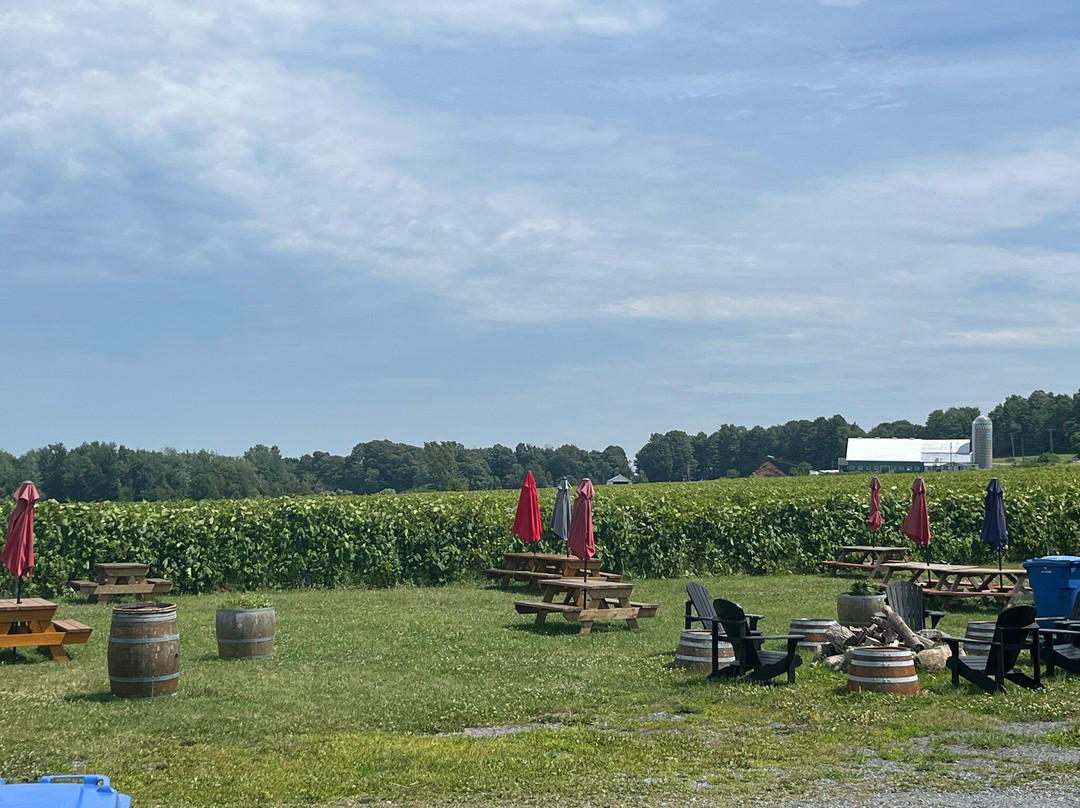 Vignoble Gagliano-Dunham必去景点